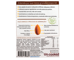 Granola de Castanha com Pedaços de bRAWnie 250g UnCooked